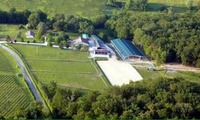 Edito